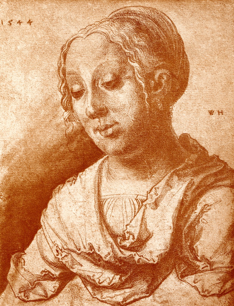 Testa di ragazza da Wolf Huber