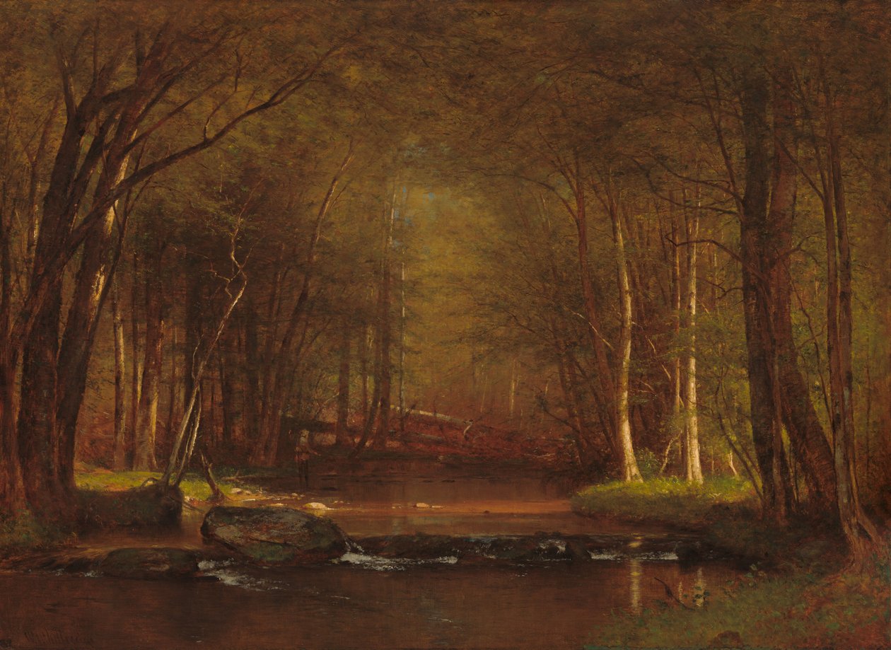 Trout Brook nei Catskills da Worthington Whittredge