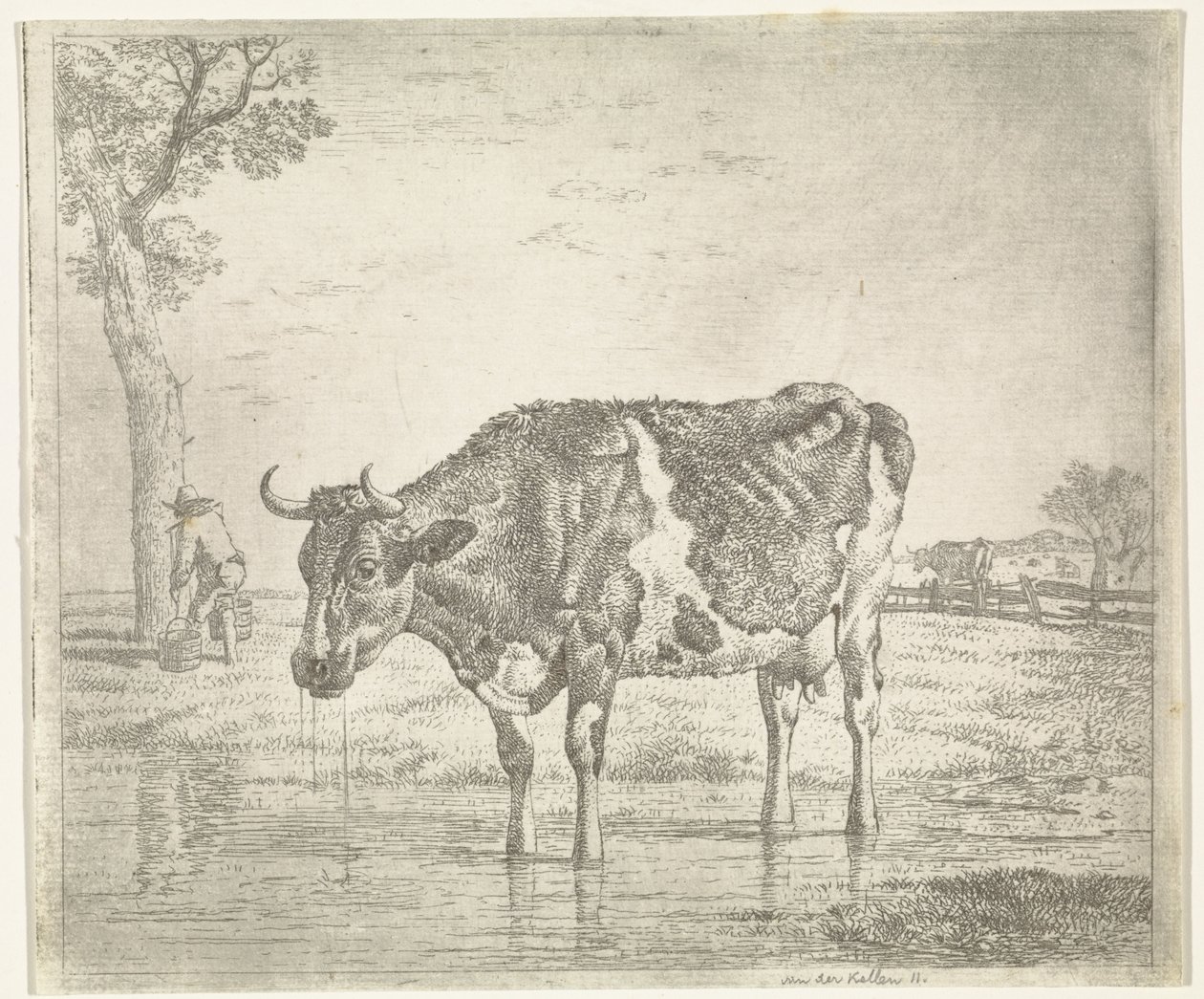 Mucca che beve da Wouter Johannes van Troostwijk