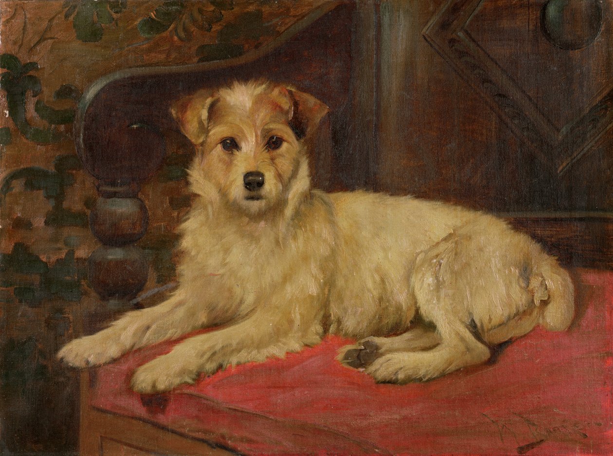 Un Terrier su un divano da Wright Barker