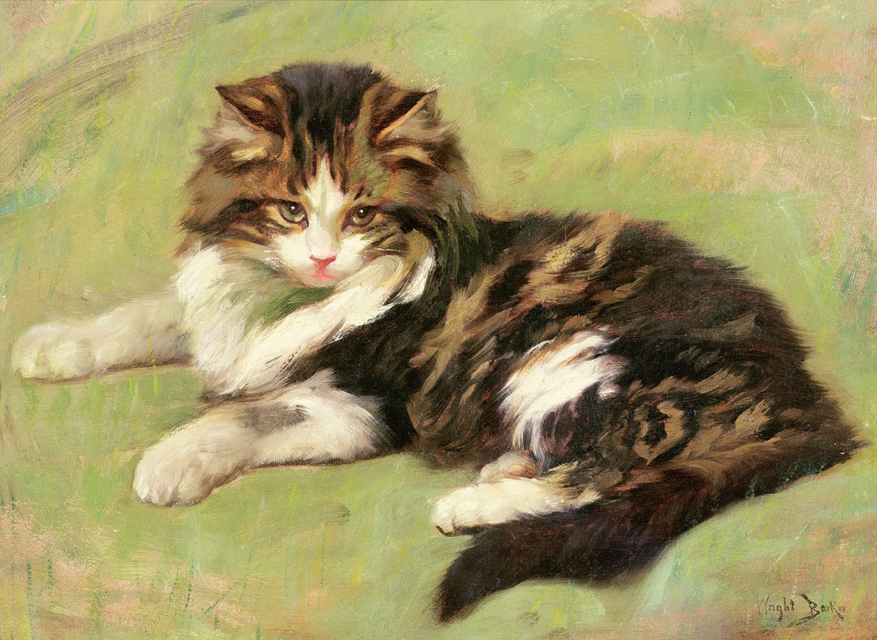 A Riposo da Wright Barker
