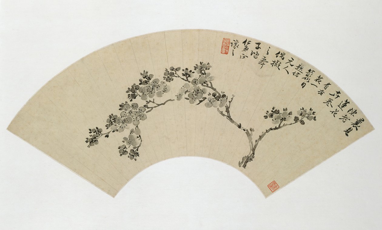 Albicocca, XIX secolo da Wu Xizai