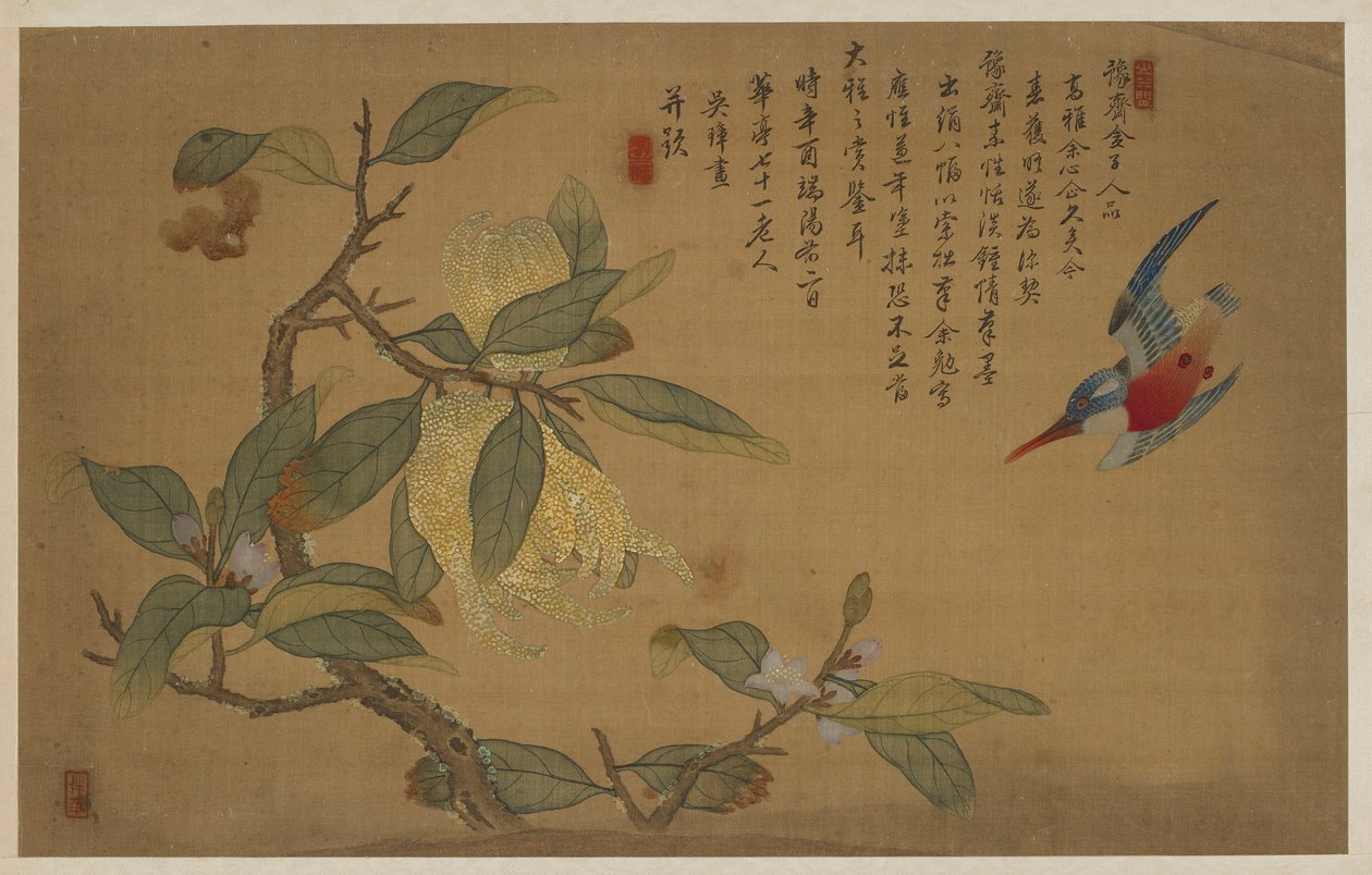 Uccello, frutta e fiori, dinastia Qing, 1741 da Wu Zhang