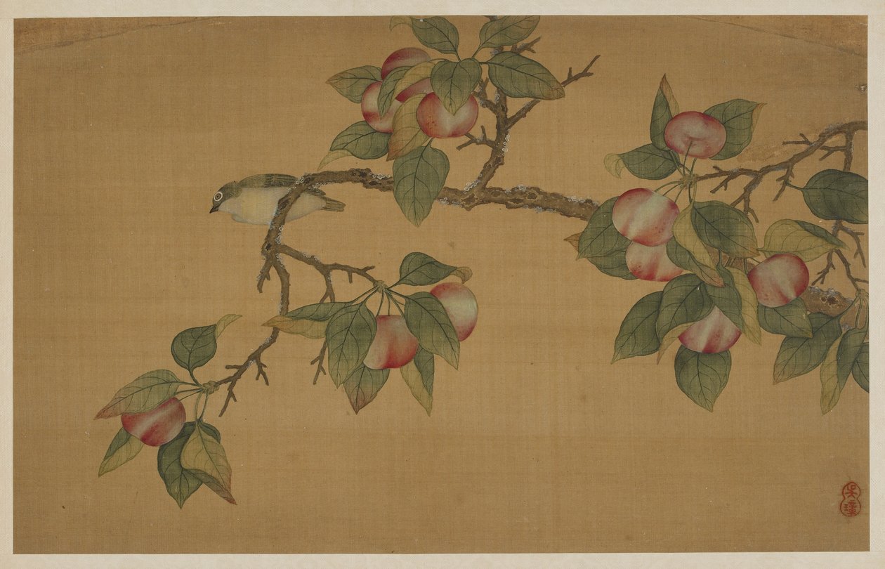 Uccello e frutta, dinastia Qing, 1741 da Wu Zhang