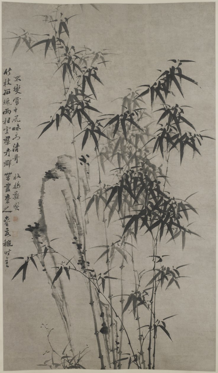 Bambù e rocce, c.1760 da Xie Zheng