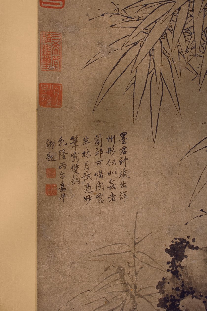 Bambù a doppia linea (dettaglio) da Xun Zhang