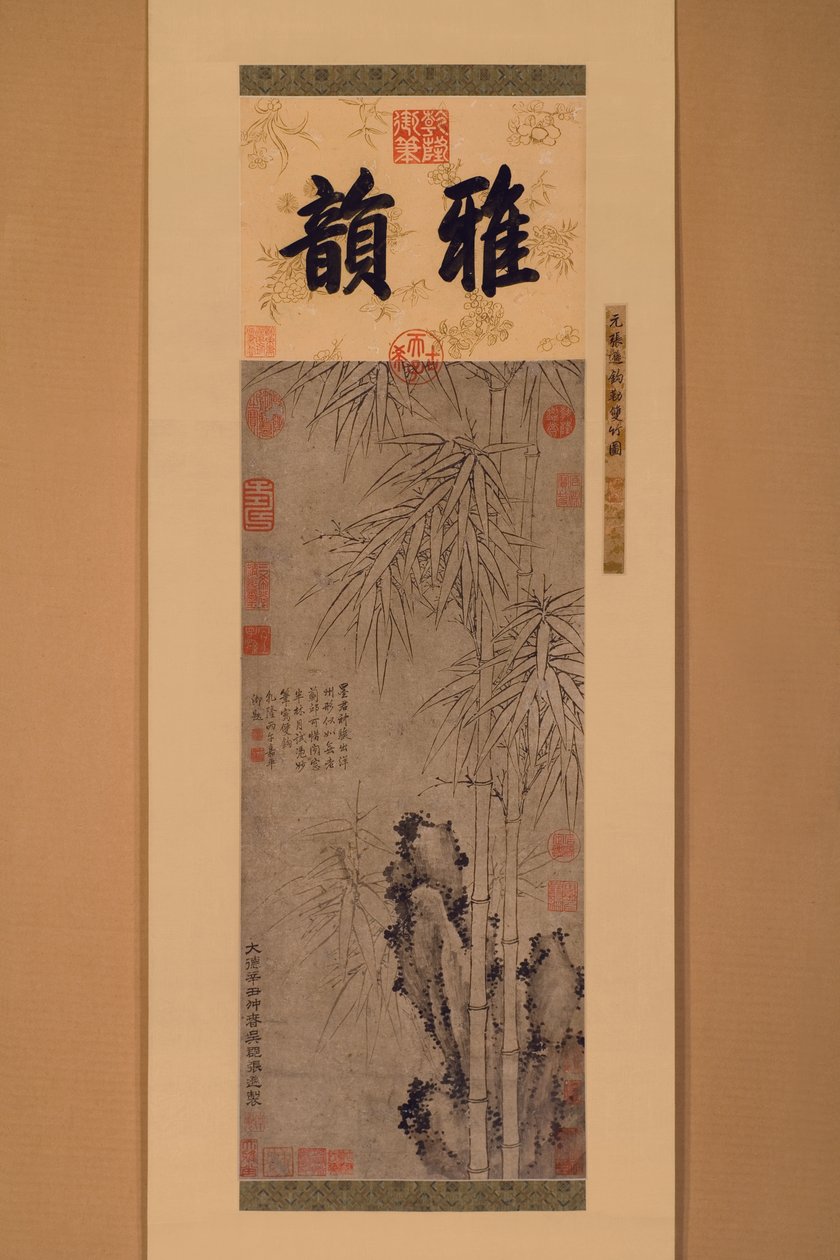 Bambù a doppia linea da Xun Zhang
