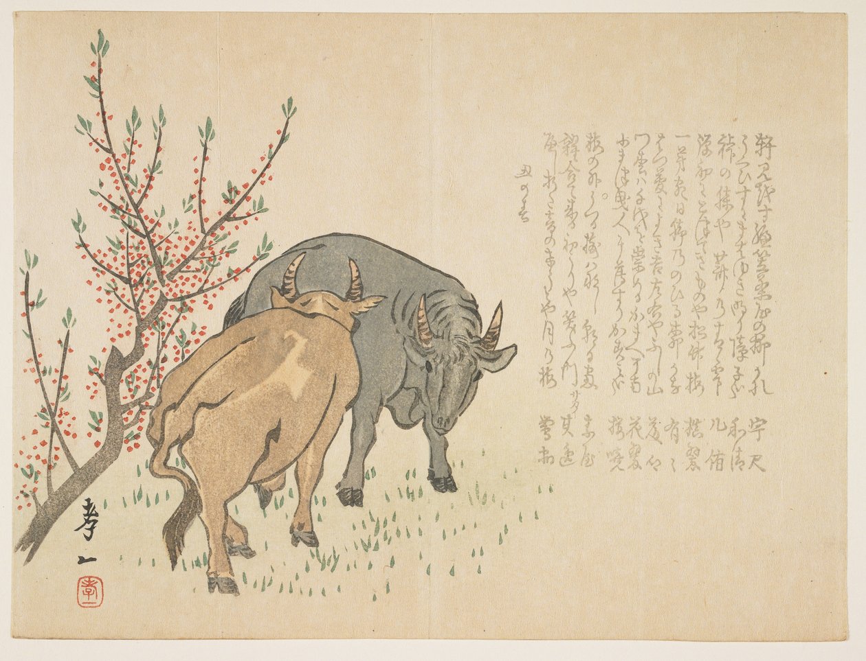 Buoi da Yoshimura Kiitsu