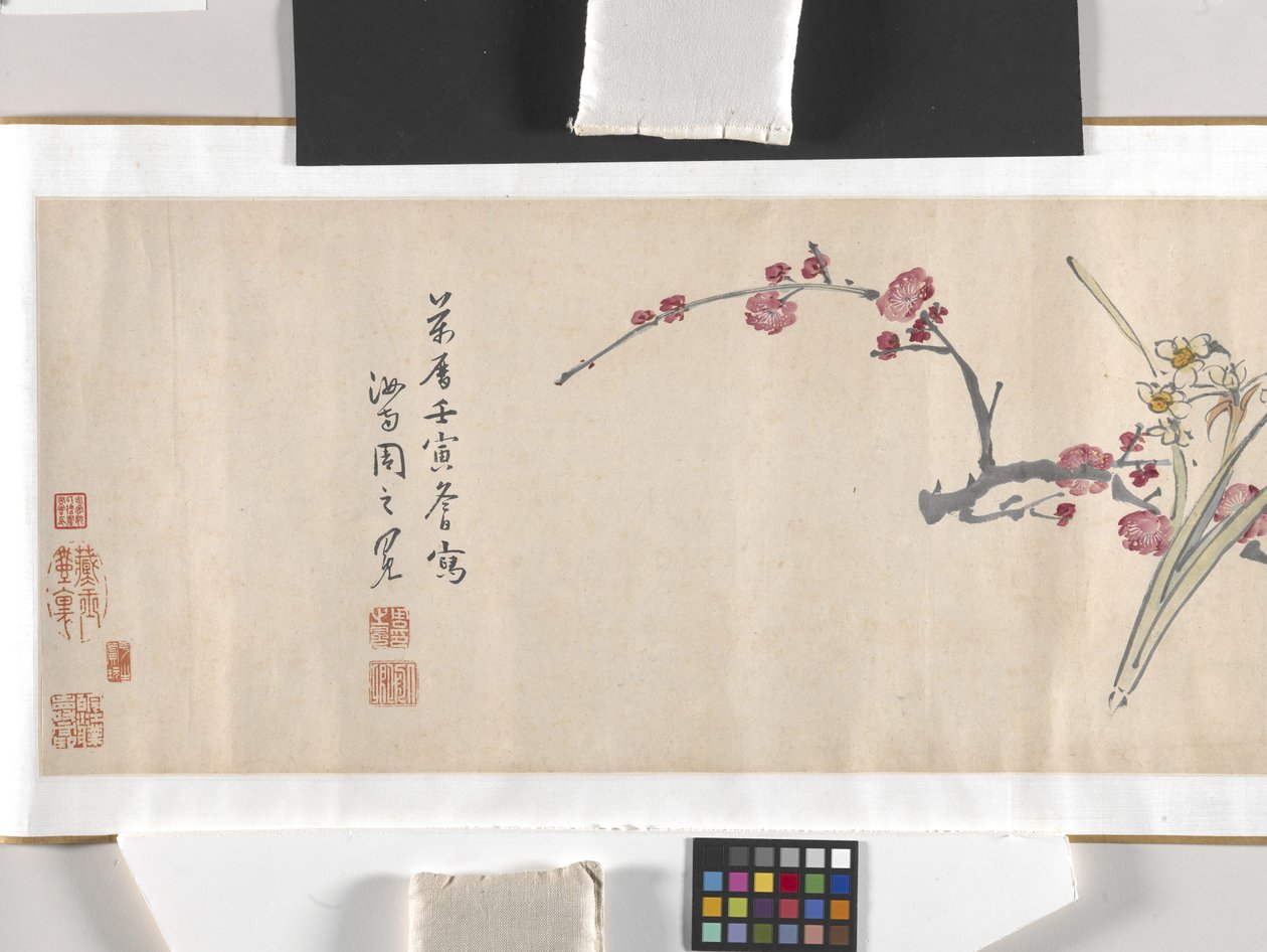 Fiori colorati da Zhimian Zhou