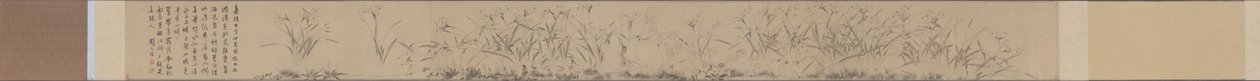 Rotolo di Narciso da Zhou Tianqiu