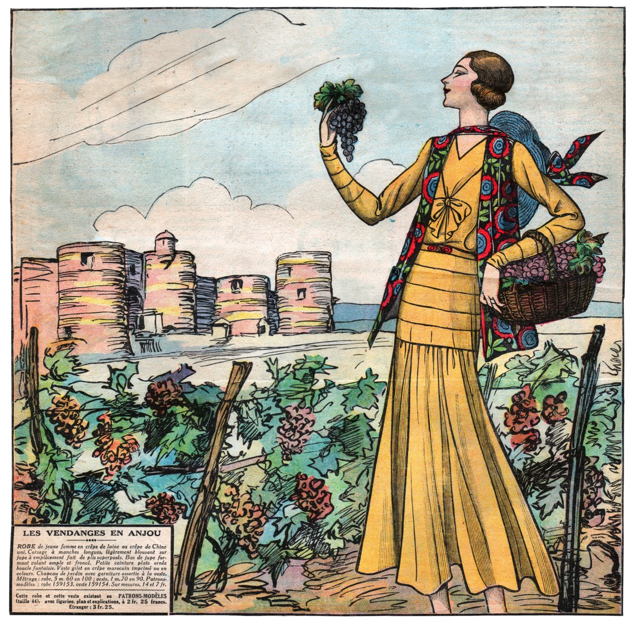 Vendemmia in Francia da . .