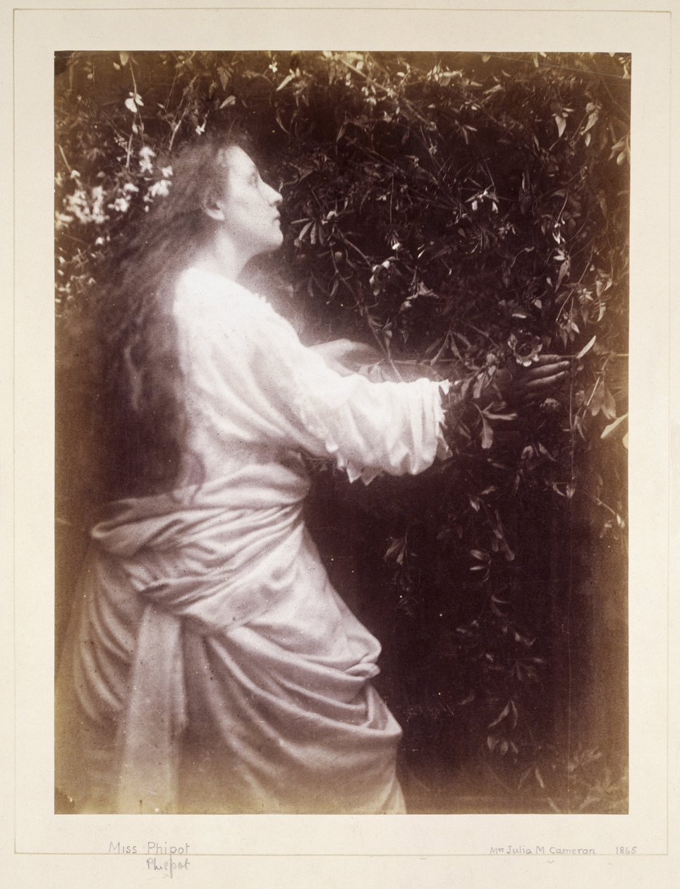 Mary Hillier, c 1865 da John Pardon