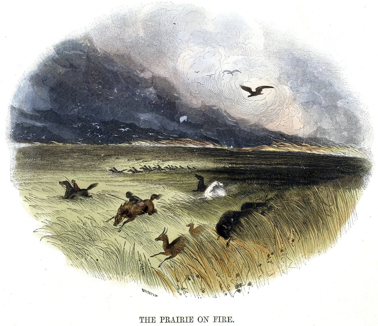 Prateria in fiamme da Frederick (attr. to) Barnard