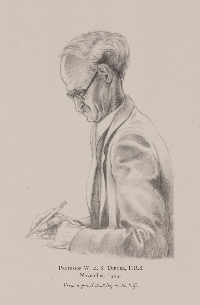 Professor W E S Turner, novembre da Frederick (attr. to) Barnard