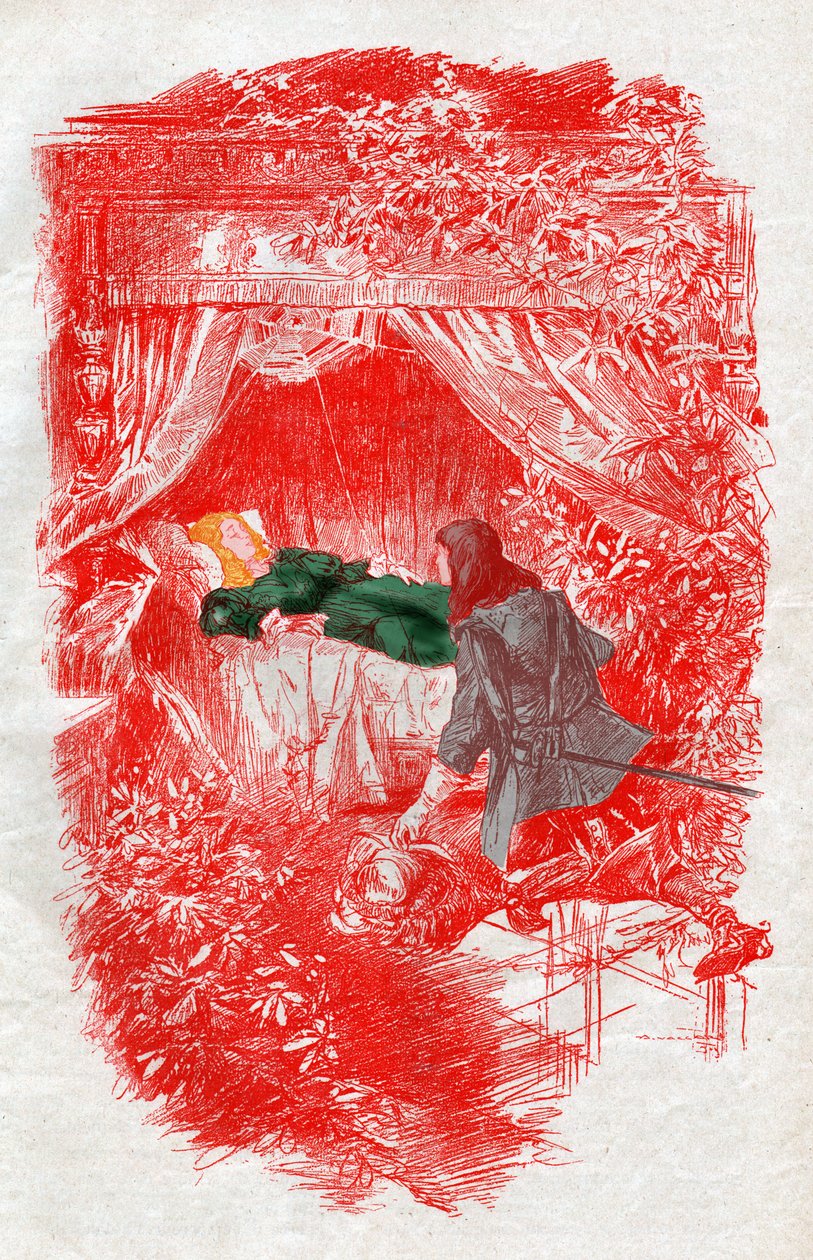 La bella addormentata (incisione) da . .