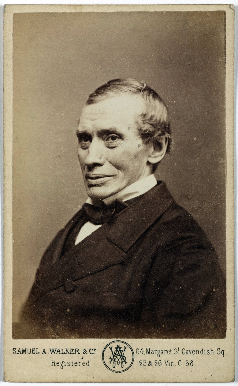 Thomas Graham, chimico scozzese, c. 1870 da Frederick (attr. to) Barnard