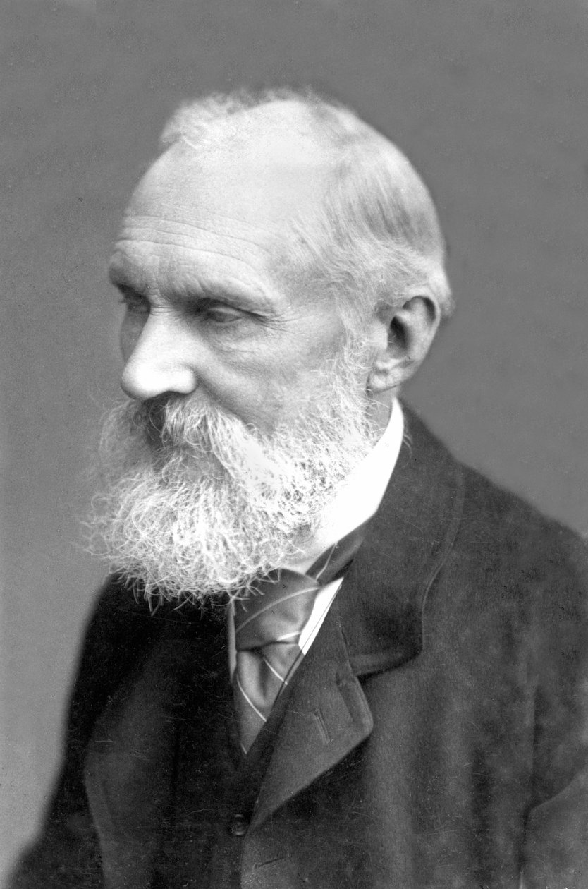 Regno Unito: William Thomson Kelvin da Frederick (attr. to) Barnard