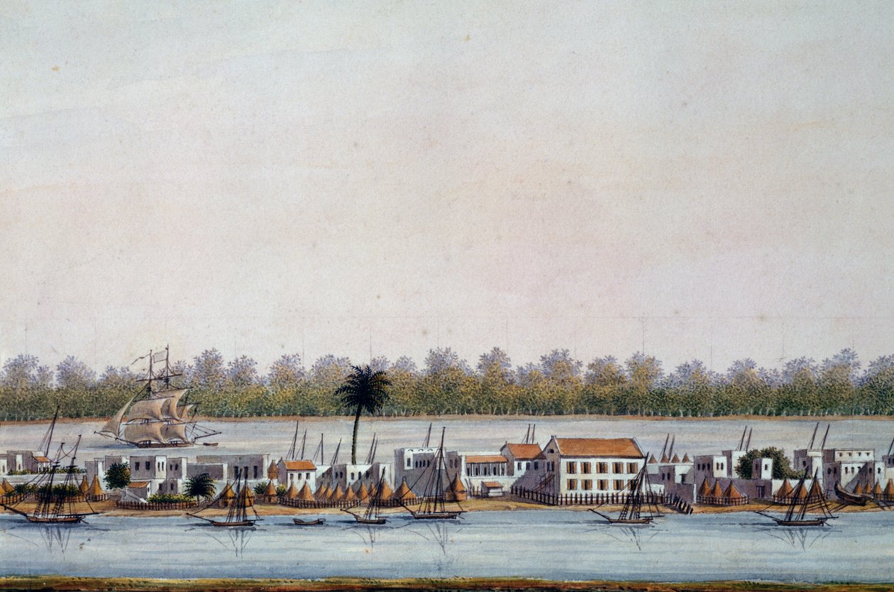 Veduta di Saint Louis, Senegal da William Walcutt
