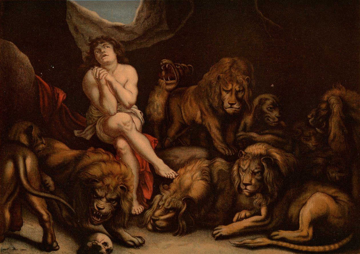 Daniele nella fossa dei leoni da after Peter Paul Rubens