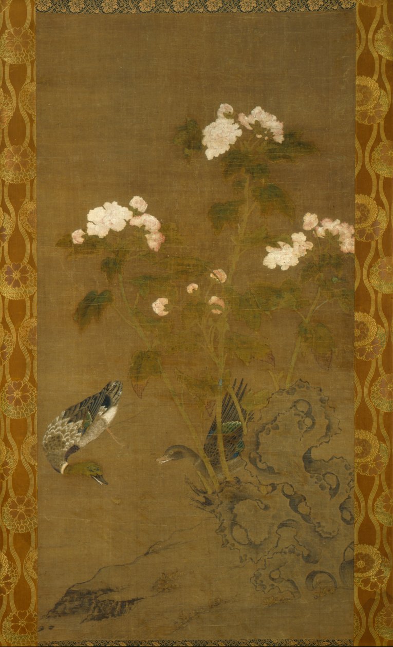 Peonie e anatre da anonymous 
