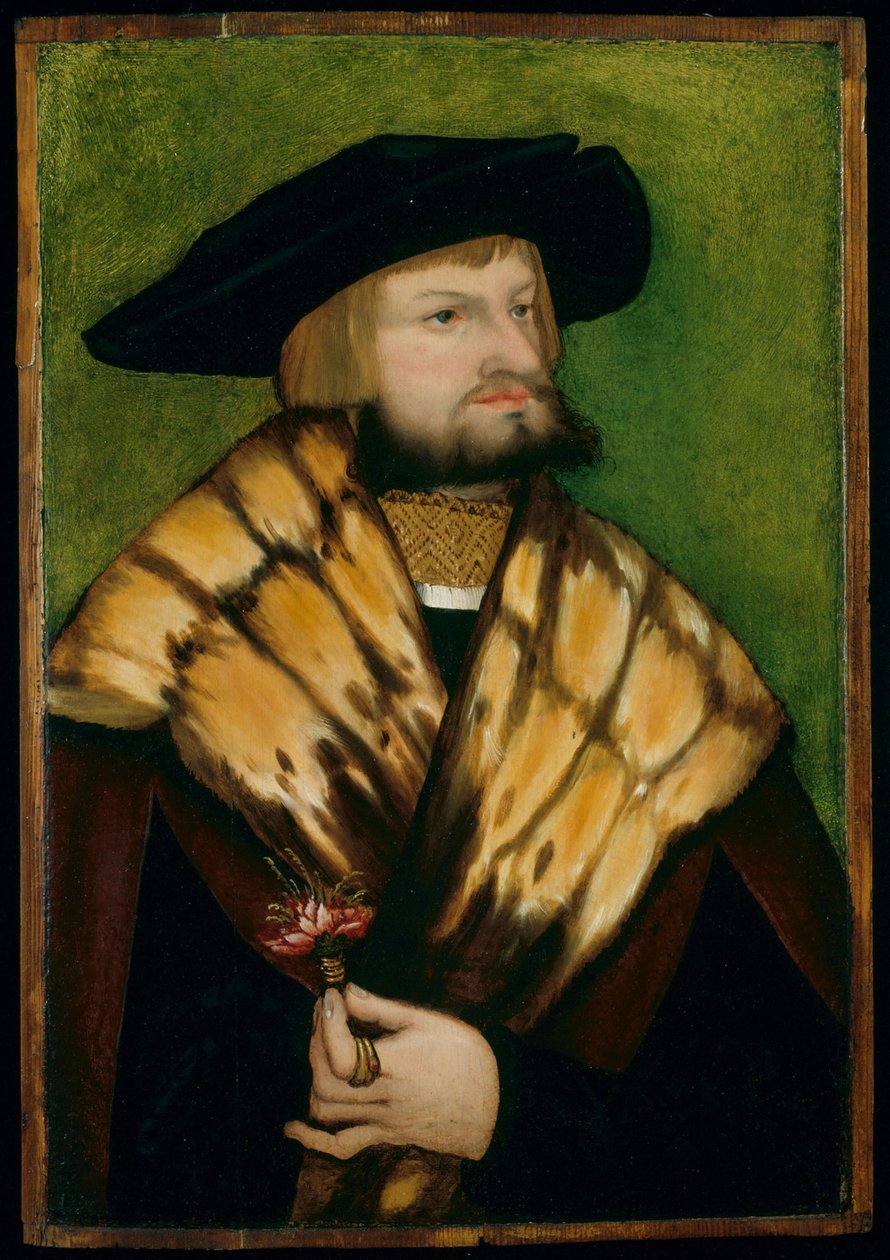 Ritratto di Leonhard Fuchs da anonymous 