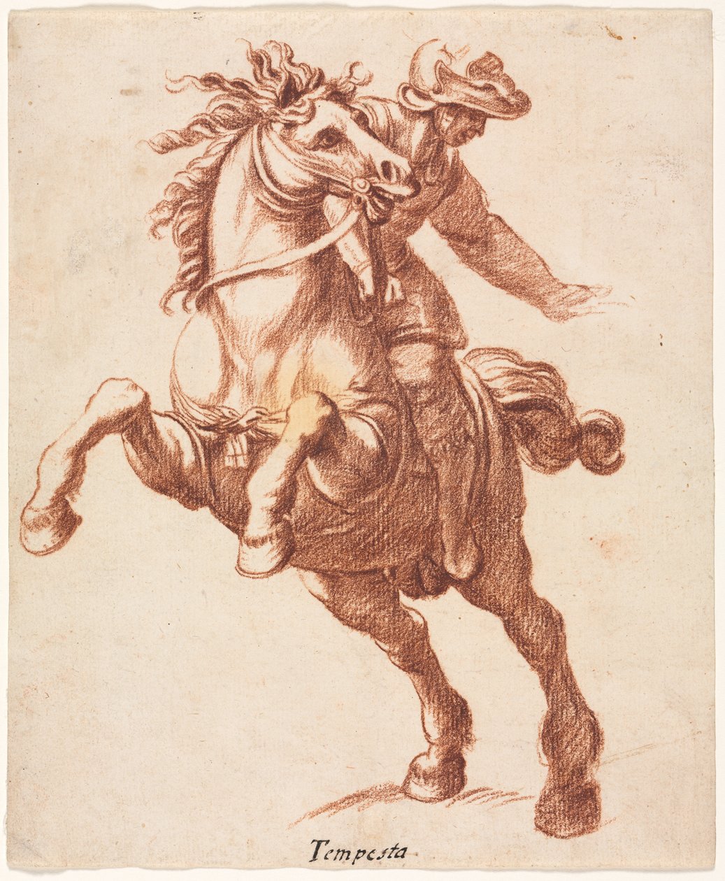 Cavallo impennato e cavaliere da attributed to Antonio Tempesta