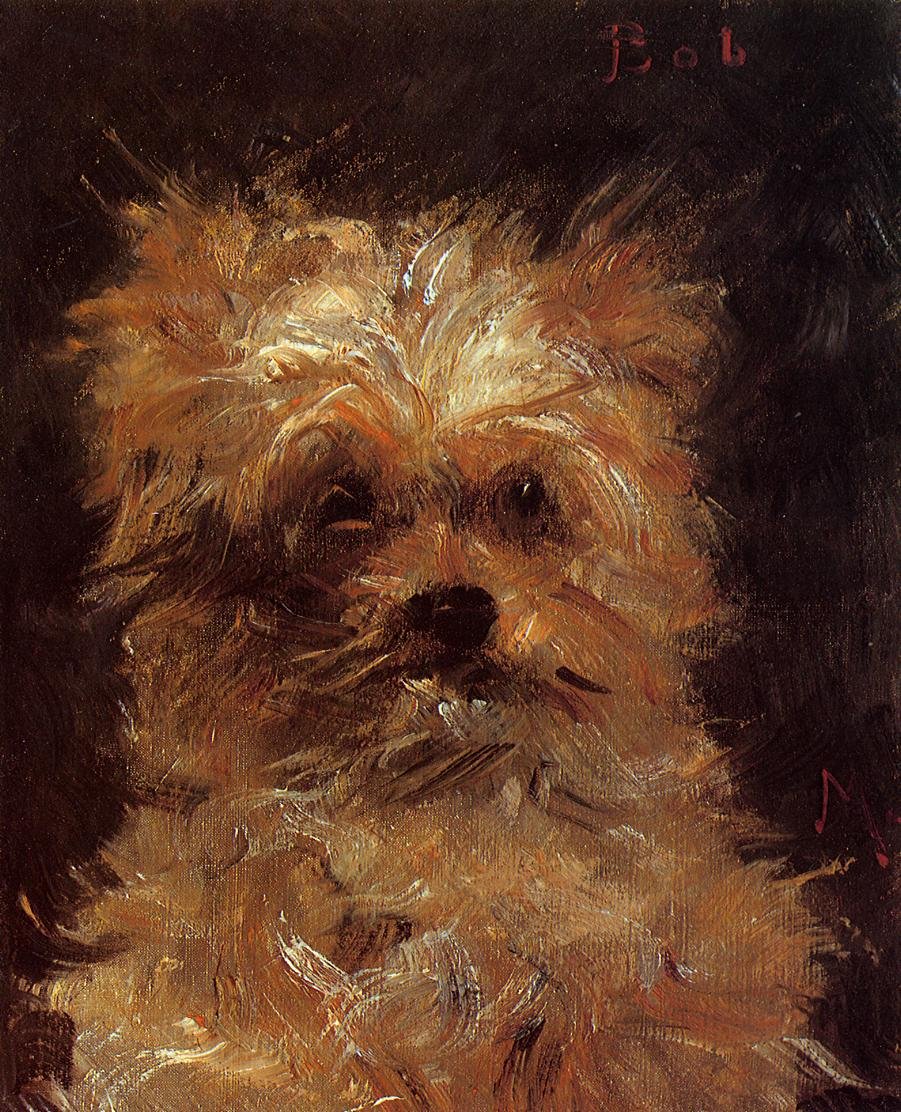 Bob, cane griffone da Édouard Manet