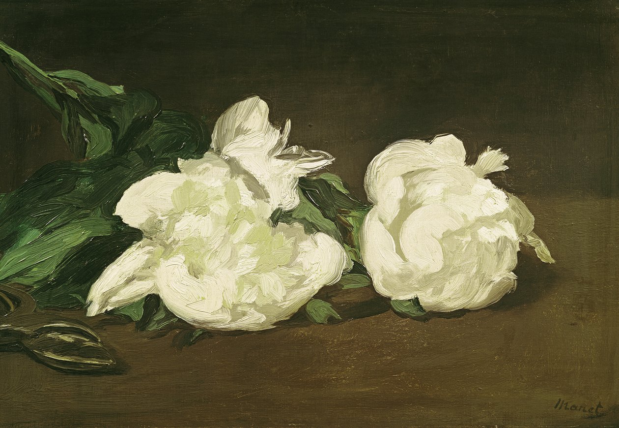 Ramo di peonie bianche e cesoie, 1864 da Édouard Manet