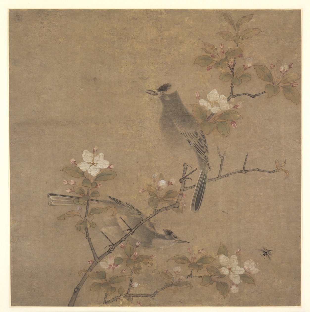 Fiori e Uccelli da style of Qian Xuan