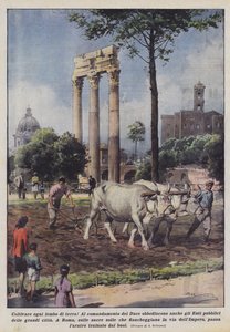 Coltivare ogni lembo di terra!