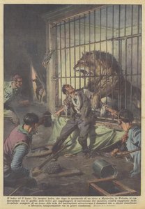 Il ladro ed il leone