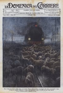 Una strage di pecore