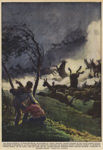 Una strage singolare