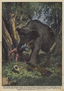 Una tragedia nella giungla africana