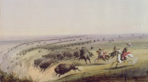Caccia al bufalo, 1837