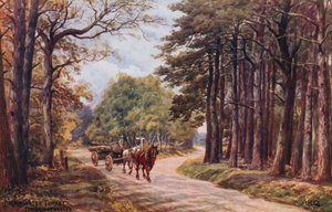 Foresta di Broadwater, Tunbridge Wells