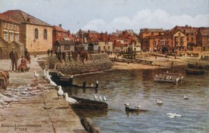 Gabbiani nel Porto, St Ives