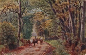 Il viale di Tennyson vicino a Haslemere