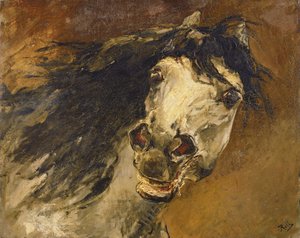 Testa di un cavallo