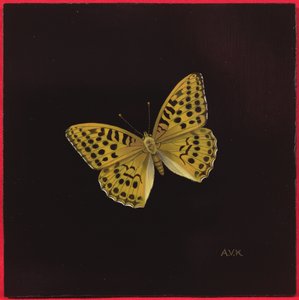 Farfalla Argynnis Paphia, 2000