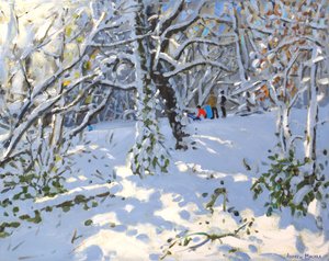 Slittino di Natale nei boschi di Allestree, 2013
