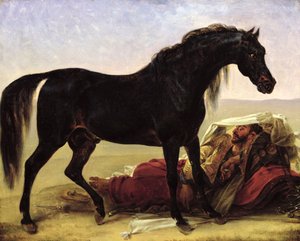 Un cavallo arabo