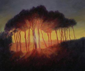 Alberi selvaggi al tramonto, 2002