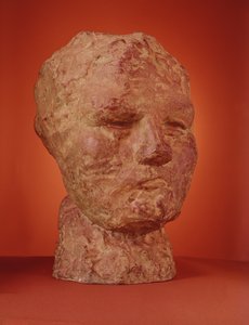 Testa di Iris, 1890