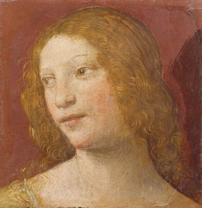 Testa di una giovane donna