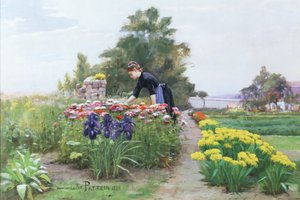 Il giardino dei fiori