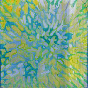 Acrapora, 2000