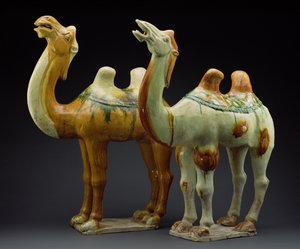 Due cammelli, Dinastia Tang (618-907)