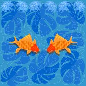 Pesce cinese
