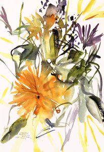 Calendula e Altri Fiori